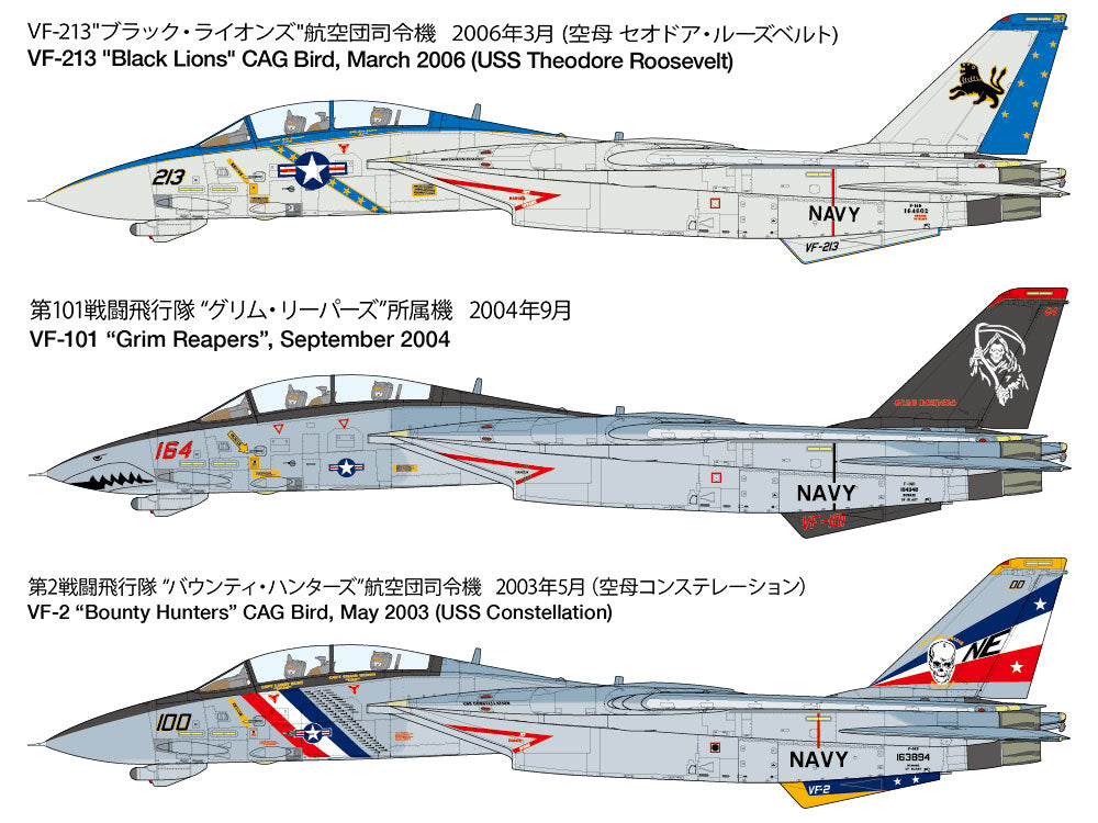 Tamiya 1/48 Grumman F-14D Tomcat